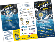 Augusta Whalesong DL brochure